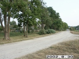 Leliunu_a_uten_leliu_006-6acb87f8e960d17b1118229079ca36d1.jpg