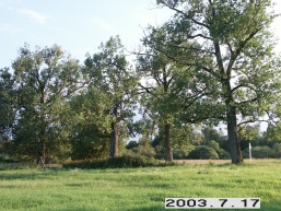 Lemantauciznos_a_sirv_lemantauc_094-46bf79b8cd1d1e6bc40bae08a2fa2040.JPG