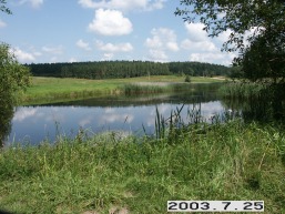 Lielioniu_a_prie_lielio_037-1c6eef1bccf85c0af9f9628224932177.JPG