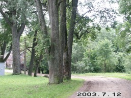 Liubavo_a_viln_liubav_036-69c809f3b4eb833862f3bdbe896911fa.JPG