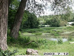 Liubavo_a_viln_liubav_046-4045d1935a7fba0746d8f46884854667.JPG