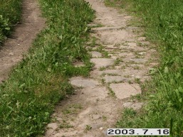Liubiskes-Liubakavo_a_sven_liubis_027-9f13771713bc638334b5cb06087e2e92.JPG
