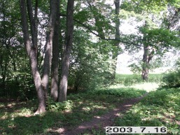 Liubiskes-Liubakavo_a_sven_liubis_040-19dd2e46682d7312580c9bc8e3c8ca41.JPG
