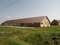 Liucinavo_a_mari_liuc_060-e19792fa463ea8562ffa38f9739d9165.JPG
