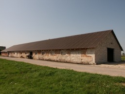 Liucinavo_a_mari_liuc_065-9f813aa5a42989edf8f9f586c1fe5781.JPG