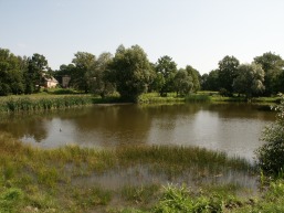 Liucinavo_a_mari_liuc_079-ecf1da1054151b36187045071a72925b.JPG
