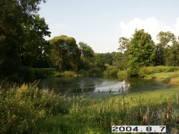 Lomiu_a_taur_lomi_065-8aab81f8ff7555ffa096a3b9ef7b4445.JPG