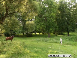 Lomiu_a_taur_lomi_072-3dc274d37e5d3d18c5bf39ebb3ad21f9.JPG