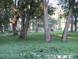 Lyduokiu-Kureju_a_ukme_lyduok_031-c0bc6b534959469794b30224994b056d.JPG