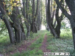 Lyduokiu-Kureju_a_ukme_lyduok_033-d36e8b72511b819c4a5cfdb660de06e1.JPG
