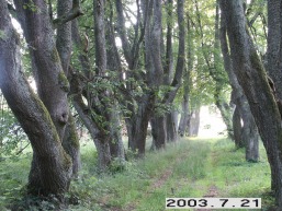 Lyduokiu-Kureju_a_ukme_lyduok_034-de1a99ccfa4b81108889730dfc2d8ccb.JPG