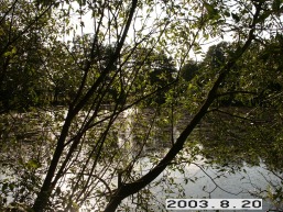 Mantagailiskio_a_birz_mantag_052-b9952f9aa1d43d35f1e1d13d9eb93223.JPG