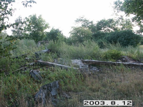 Markutiskiu_a_jona_markutis_076-152cde33ff3e4d5358da326f42bcb200.JPG