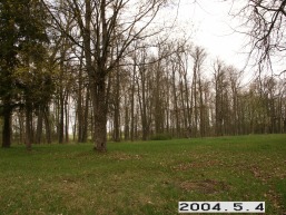 Martyniskiu-1_a_joni_mart_021-6b6a3ca7a41ffb56215e9f20d6e7fed1.JPG