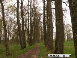Martyniskiu-1_a_joni_mart_024-cb8ea9ca2a051a0fa7617f70c7154ef5.JPG