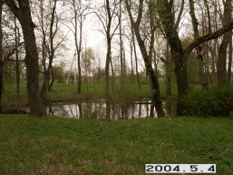 Martyniskiu-1_a_joni_mart_026-2c8b4b93a4c956008af177b797c302e3.JPG