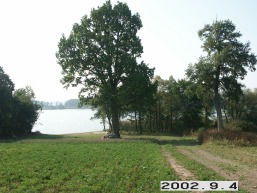 Martyniskiu_a_mole_marty_009-f1c8baa90c68501ad32f329fd7b0ee22.jpg