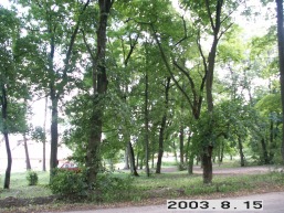 Marvos-Marveles_a_kaun_marv_079-65bd2d718b05e2b3d66b710218c33511.JPG