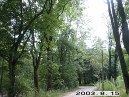 Marvos-Marveles_a_kaun_marv_080-464f76458df84e1bf1867d84bd3f8fd0.JPG