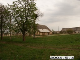 Medemrodes_a_akme_mede_048-6679d148ca164bd6af58b6a645f18054.JPG