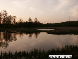 Mirsiskes_a_siau_mirs_048-bdf48814aa5624dc719816a4fbd78add.JPG