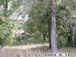 Mitriunu_a_pane_mitr_107-8cb93fdf3e5043c15deb33a89176c85d.JPG