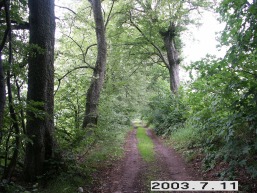 Mozuriskiu_a_viln_mozurisk_054-44fe7e5bbda264e7619725c48c819883.JPG