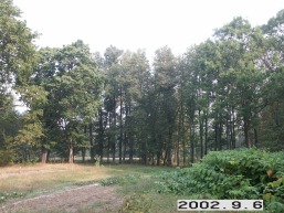 Mukuliu_a_zara_muku_006-ae179325694a8e904b95e3bf6f59f2c7.jpg
