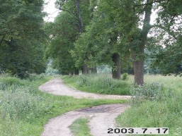 Musninku-Musninkeliu_a_sirv_musnin_067-bfdcbcbbd0865debf213ffe22c2d34dd.JPG