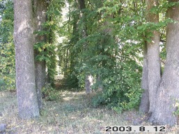 Mykoliskiu_a_jona_mykolis_035-fd850b375c8a3f77e9e7947c50c0acc3.JPG