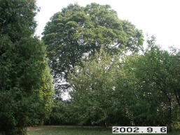Narkyciu-Kriovu_a_zara_narky_004-b20cf8b1f126ca9593b694864e3b3cc2.jpg