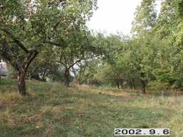 Narkyciu-Kriovu_a_zara_narky_008-3b29cf2585b638fc2547116c14891f6f.jpg