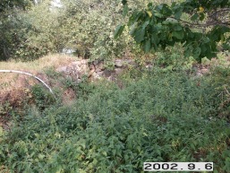 Narkyciu-Kriovu_a_zara_narky_009-069c5bc7329e9ca25505619c5e1bb2ac.jpg
