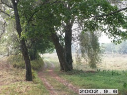 Narkyciu-Kriovu_a_zara_narky_013-dc26f4656da3e47cc40317f4cc02ea52.jpg