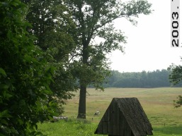 Naujadvario_a_sven_naujadvar_002-0842b4352ee68513eb64edab14cb15ee.jpg