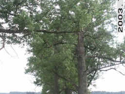 Naujadvario_a_sven_naujadvar_011-80e991659485b747d4aebcb6f068a71b.jpg