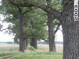Naujadvario_a_sven_naujadvar_012-878875f664656899412dd1da6db85ea0.jpg
