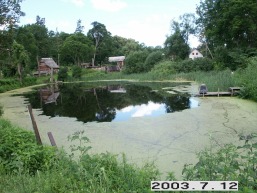 Naujaneriu-Viljanovos_a_viln_naujaner_009-d0508ac6464a875c46d74e7de544e5b2.JPG