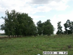 Naujoku_a_jona_naujok_019-3f3f7b7a80b37a06ea84492daa8b7151.JPG