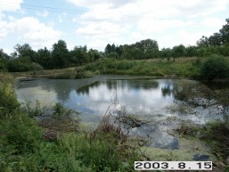 Noreikiskiu_a_kaun_noreik_049-78f132888c3b9851abf3efd43980c394.JPG