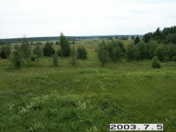 Norviliskiu_a_salc_norvil_075-f928930430f6a9d1f5e2a3758e836792.JPG