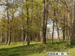 Paezeriu_a_siau_paez_077-cb482ec6f5a7a3d40cc74ceb50e063e9.JPG