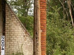 Pagryzuvio_a_kelm_pagr_016-c06d7df0393fa3d22d65f6e0422932a1.JPG