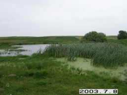 Pailges_a_viln_pailg_006-a15753f32401d4f49d4fac8254c24991.JPG