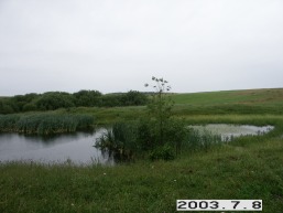 Pailges_a_viln_pailg_007-b3a9dafe92da42590c8dd17a7a026ca3.JPG