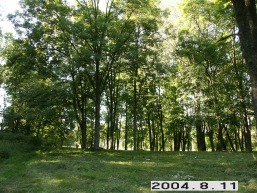 Pajurio_a_sila_paju_079-5a831e201b171706a95358c0ebf983bd.JPG