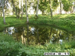 Pajurio_a_sila_paju_081-297f2f509fe2e6ab914bef3fc361d5c4.JPG
