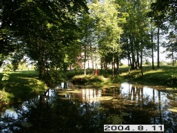 Pajurio_a_sila_paju_083-650b32614bb226a0c028d952557d2451.JPG