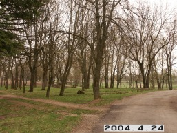 Pakirsinio_a_radv_paki_002-cd4369619220c0db2a4142b40c96e247.JPG