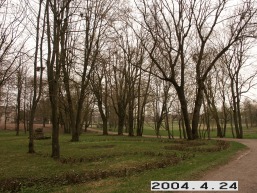 Pakirsinio_a_radv_paki_003-04763e943f71e2dfb45985b50b83c062.JPG